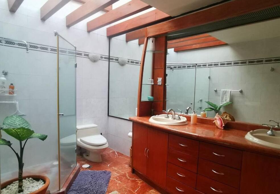 Villa Casa Ayvar. Espectacular Villa Colonial En El Corazon De Coyoacan. Meksyk Zewnętrze zdjęcie